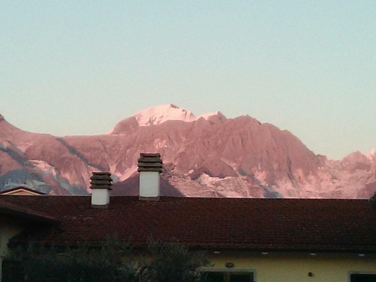Bed & Breakfast Merlo D'oro