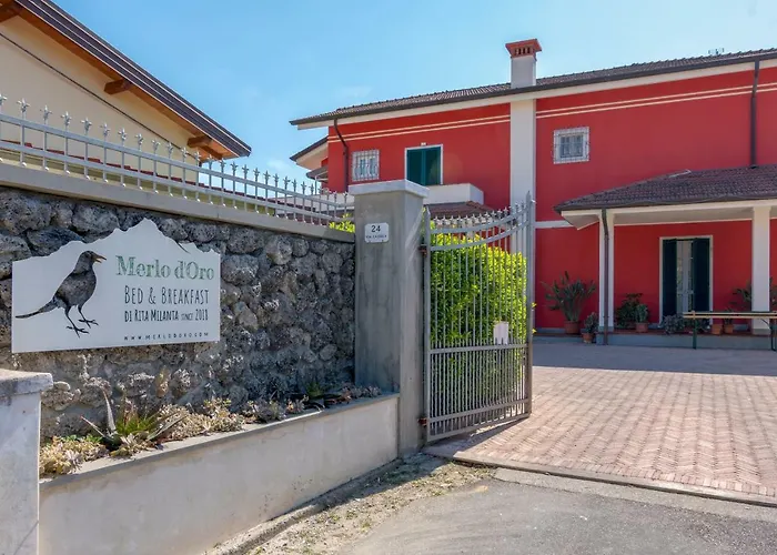 Merlo d\'Oro